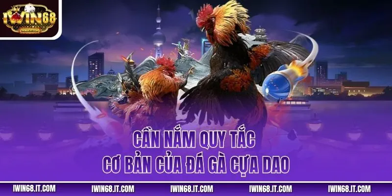 Cần nắm quy tắc cơ bản của đá gà cựa dao