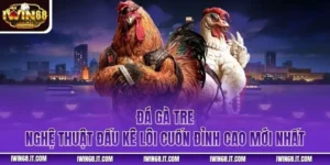 Đá Gà Tre - Nghệ Thuật Đấu Kê Lôi Cuốn Đỉnh Cao Mới Nhất
