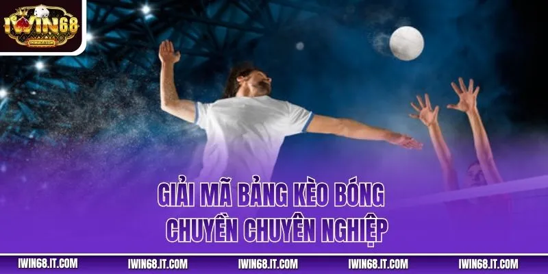 Giải mã bảng kèo bóng chuyền chuyên nghiệp