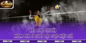 Kèo Bóng Chuyền - Khám Phá Bí Quyết Đặt Cược Hiệu Quả